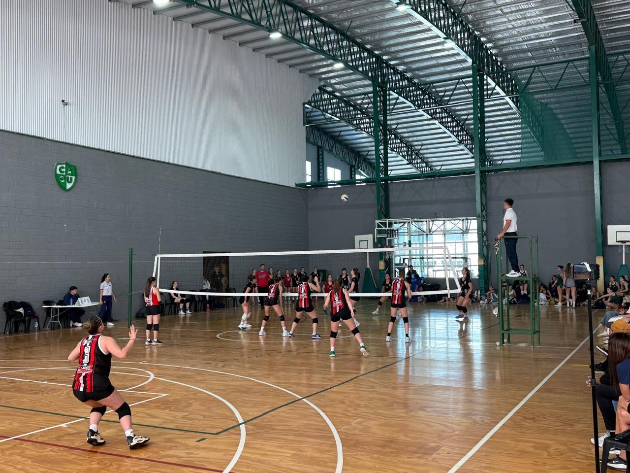 liprobo F sub16 MDQ (31)