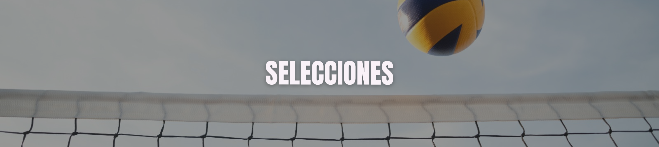 banner blog